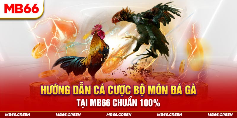 pk8 kết quả xổ số miền bắc ngày hôm nay