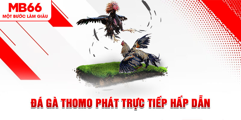 pk8 xổ số miền bắc 30 ngày