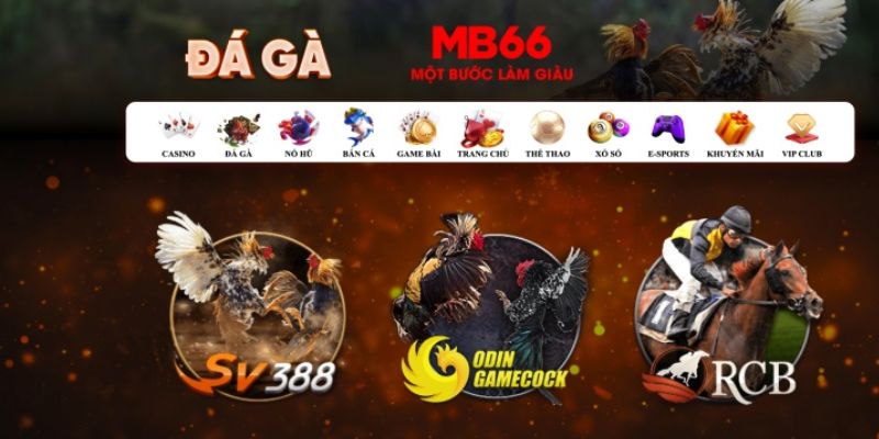 pk8 what is casino bonus wagering