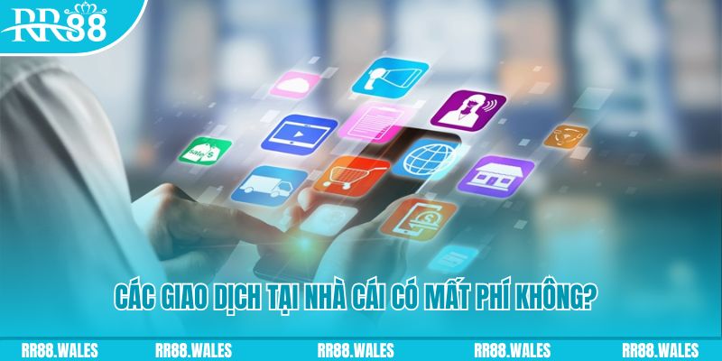 pk8 đăng nhập mậu binh 2025