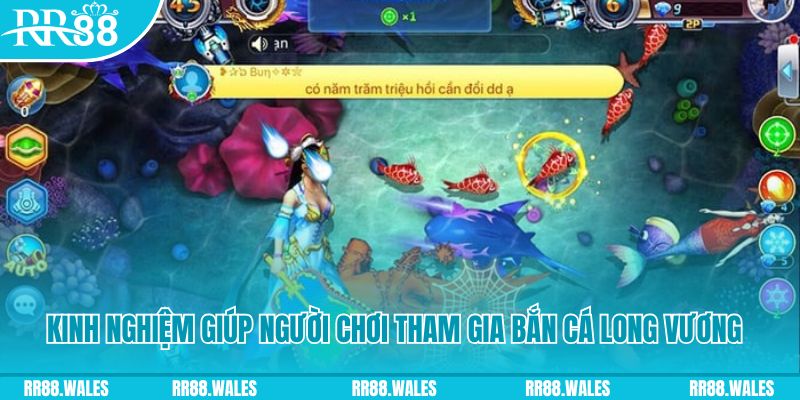 pk8 đăng nhập mậu binh rút tiền nhanh
