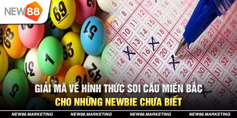 pk8 đăng nhập tiến lên miền nam miễn phí