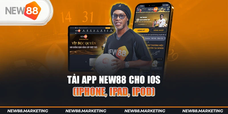 pk8 gà chọi cậu thanh