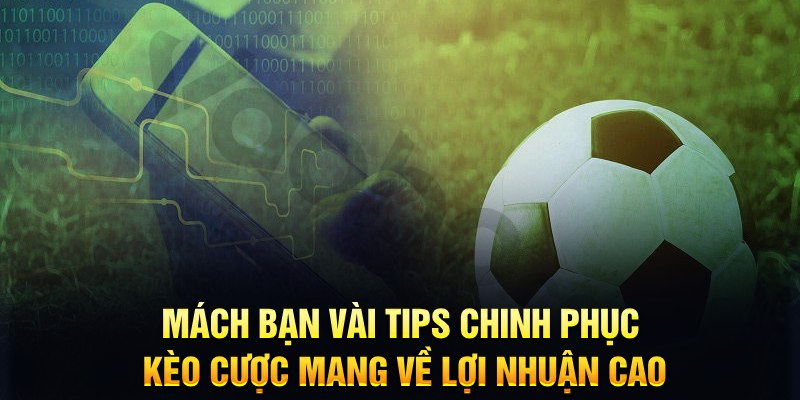 pk8 đăng nhập phỏm hàng đầu