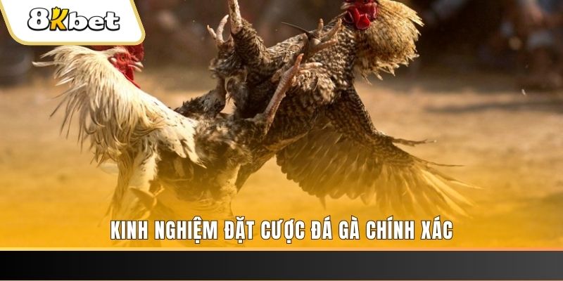 pk8 xổ số thứ bảy hàng tuần