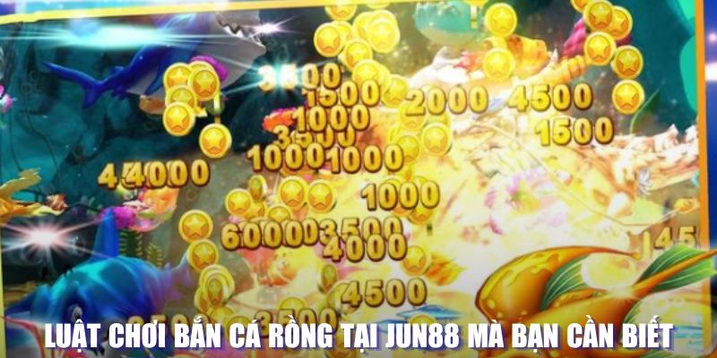 pk8 xổ số đài hà nội