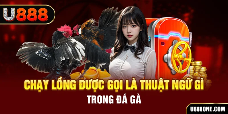 pk8 tai game vua bai ve may tinh