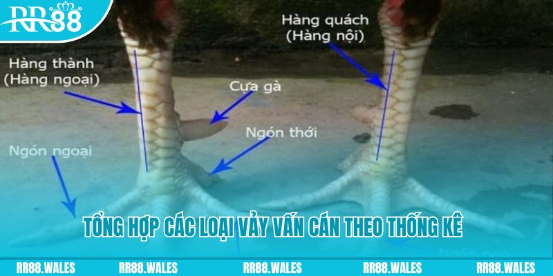 pk8 casino hồ tràm có cho người việt vào không