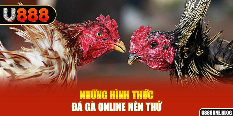 pk8 nổ hũ ai là gì
