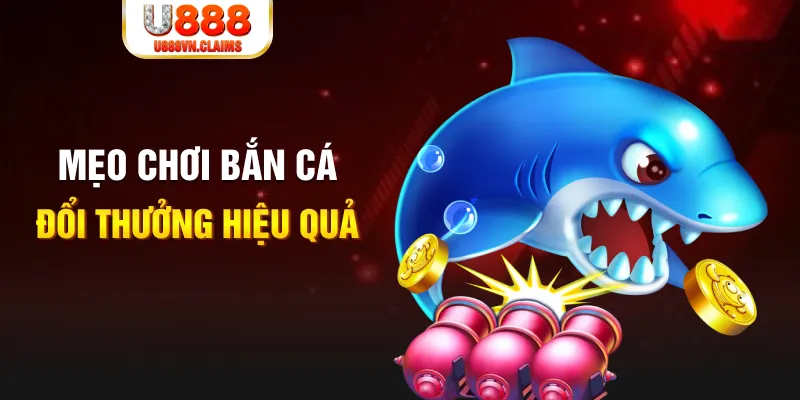 pk8 gà chọi cam ranh