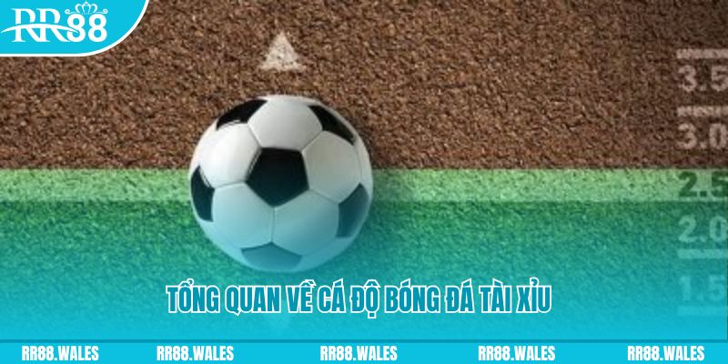 pk8 đăng nhập roulette online