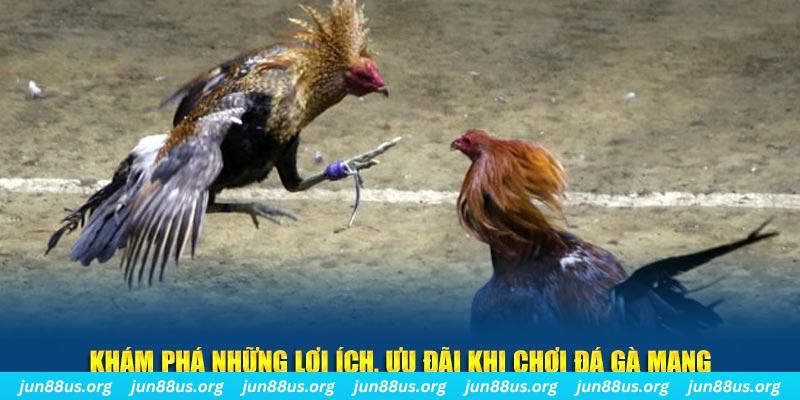pk8 đăng nhập liêng live