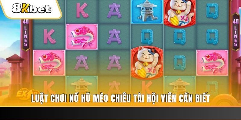 pk8 gà chọi cu cần