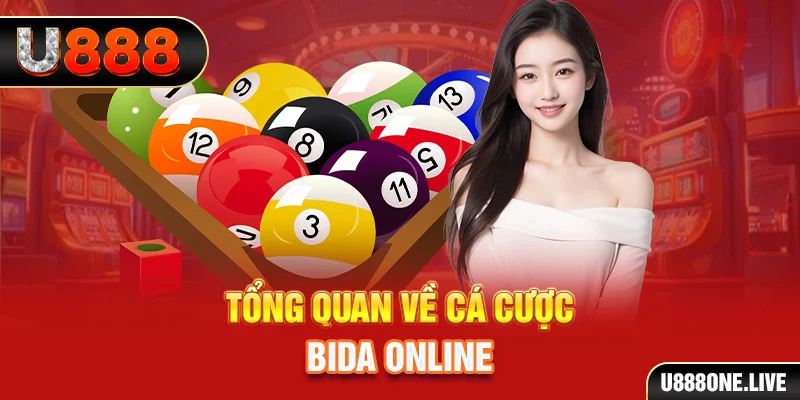 pk8 xem xổ số miền bắc