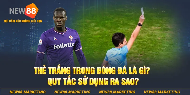 pk8 đăng nhập sòng bạc hôm nay