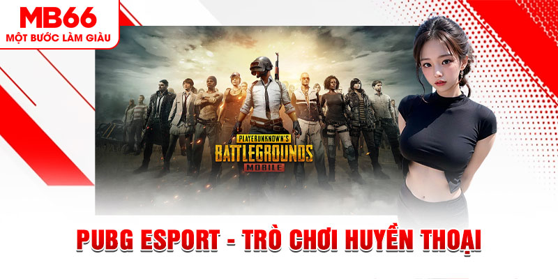 pk8 casino online là gì