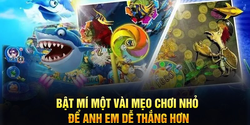 pk8 xổ số thứ ba