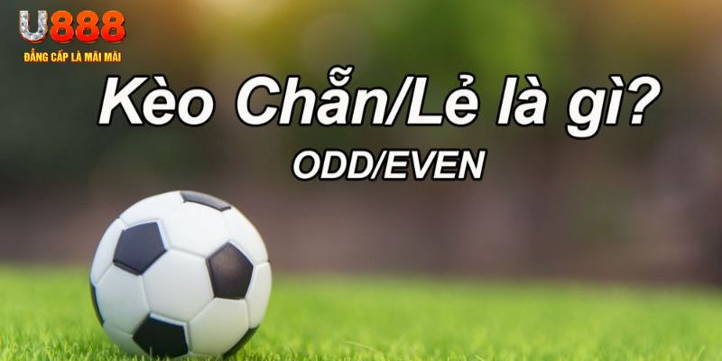pk8 đăng nhập sòng bạc 2024