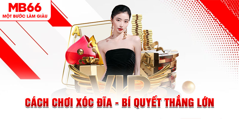 pk8 xổ số miền bắc thứ bảy hàng tuần