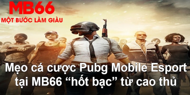 pk8 đăng nhập poker hàng đầu