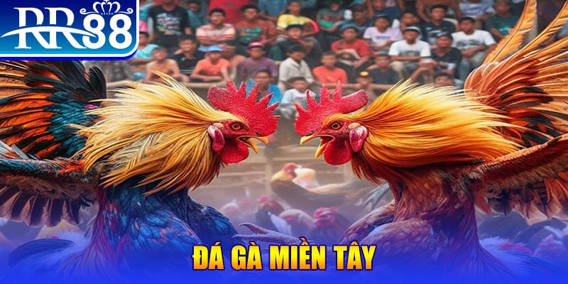 pk8 người chia bài trong casino gọi là gì
